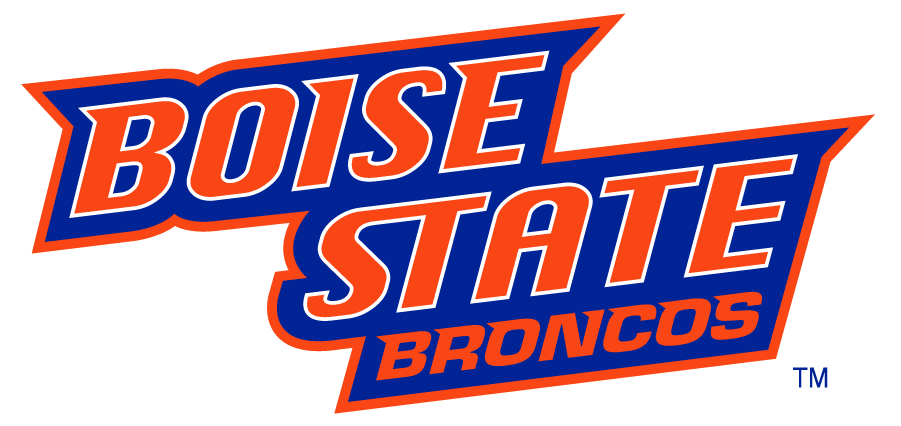 Boise State Broncos 2002-2012 Wordmark Logo v4 diy DTF decal sticker